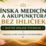 Čínska medicína a akupunktúra bez ihličiek – ročné online štúdium pre začiatočníkov, akupresúra a práca s Qi