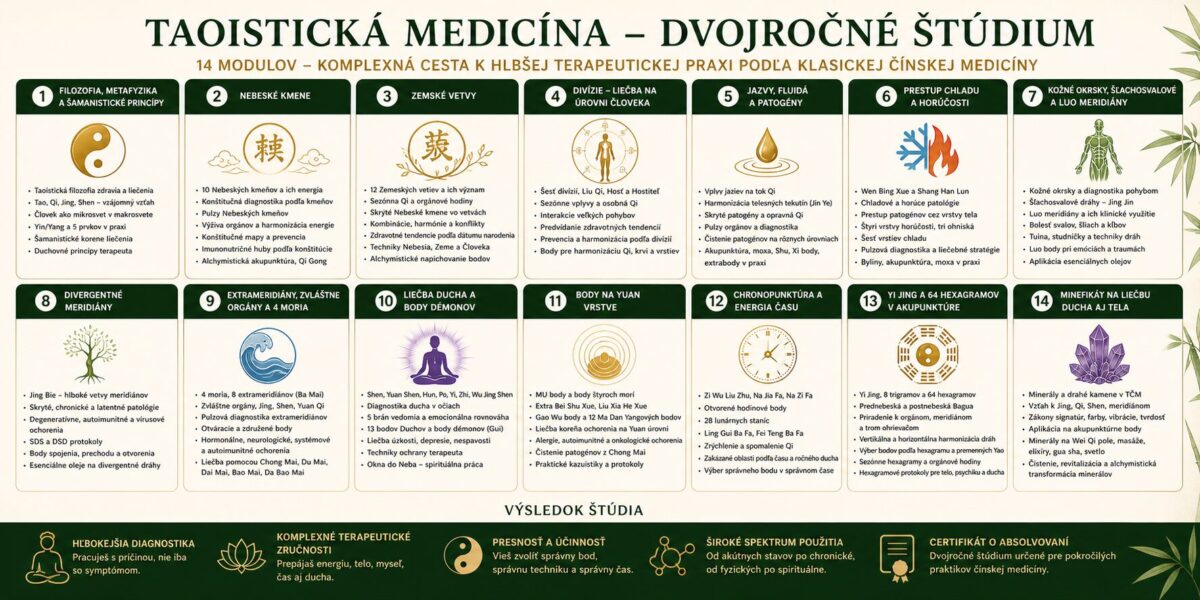 Taoistická medicína dvojročné štúdium – prehľad 14 modulov klasickej čínskej medicíny, diagnostika, meridiány, Yi Jing, chronopunktúra a liečba ducha