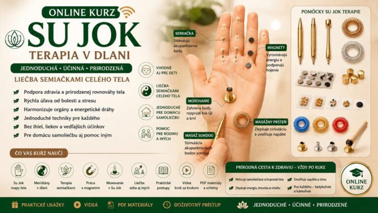 Su Jok infografika – mikrosystém ruky, liečba pomocou akupresúry, semiačok a moxy, účinky a princípy terapie