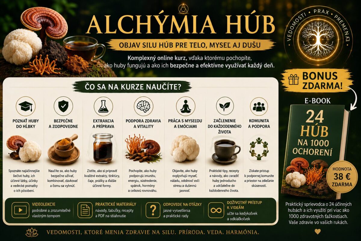Pútavý banner online kurzu Alchýmia húb zobrazujúci liečivé huby, extrakty, zdravotné účinky húb, praktické využitie v každodennom živote a bonusový e-book 24 húb na 1000 ochorení zdarma.