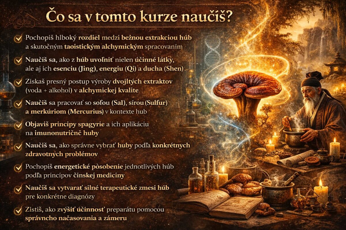 Alchýmia húb - čo sa v kurze naučíš