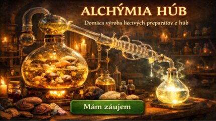 Alchýmia húb
