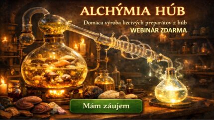 Alchýmia húb - webinár zdarma