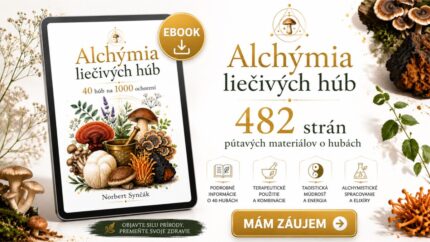 Ebook Alchýmia liečivých húb – 482 strán o liečivých hubách, mykoterapii, taoistickej alchýmii a terapeutickom využití medicinálnych húb.