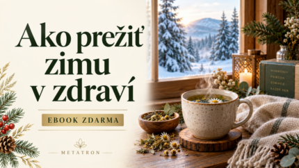 Ako prežiť zimu v zdraví – eBook zdarma METATRON, bylinkový čaj pri okne so zimnou krajinou